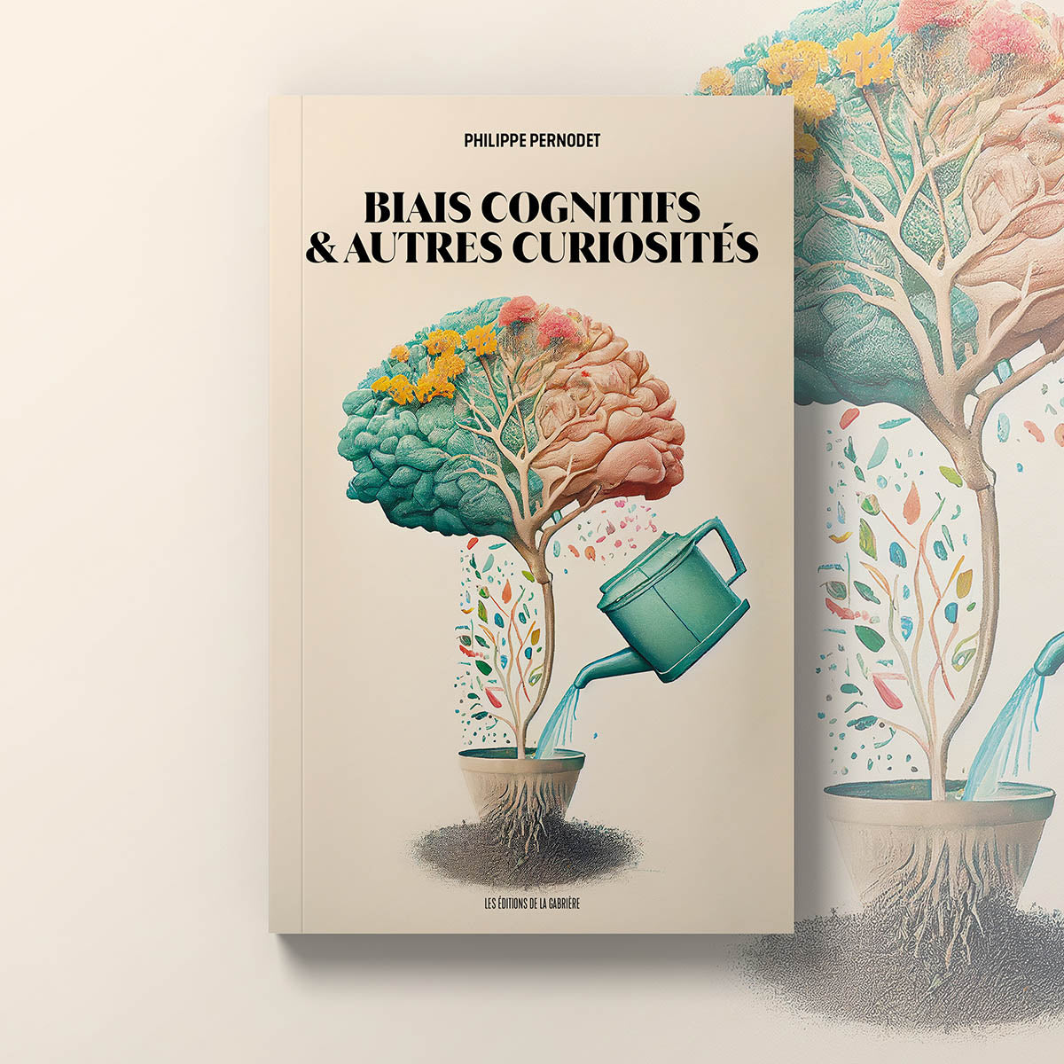 Biais cognitifs et autres curiosités