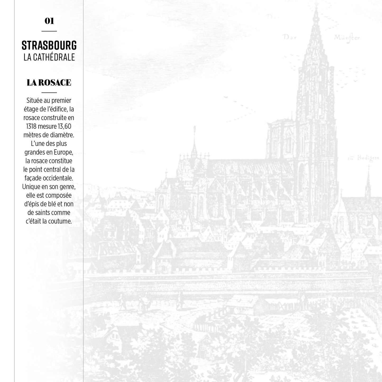 Coffret de 8 cartes postales "Cathédrale de Strasbourg"