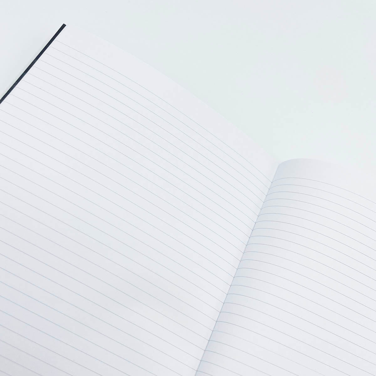 Carnet de notes "Forêt"